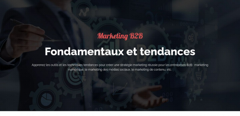 https://www.solutions-marketing-btob.fr